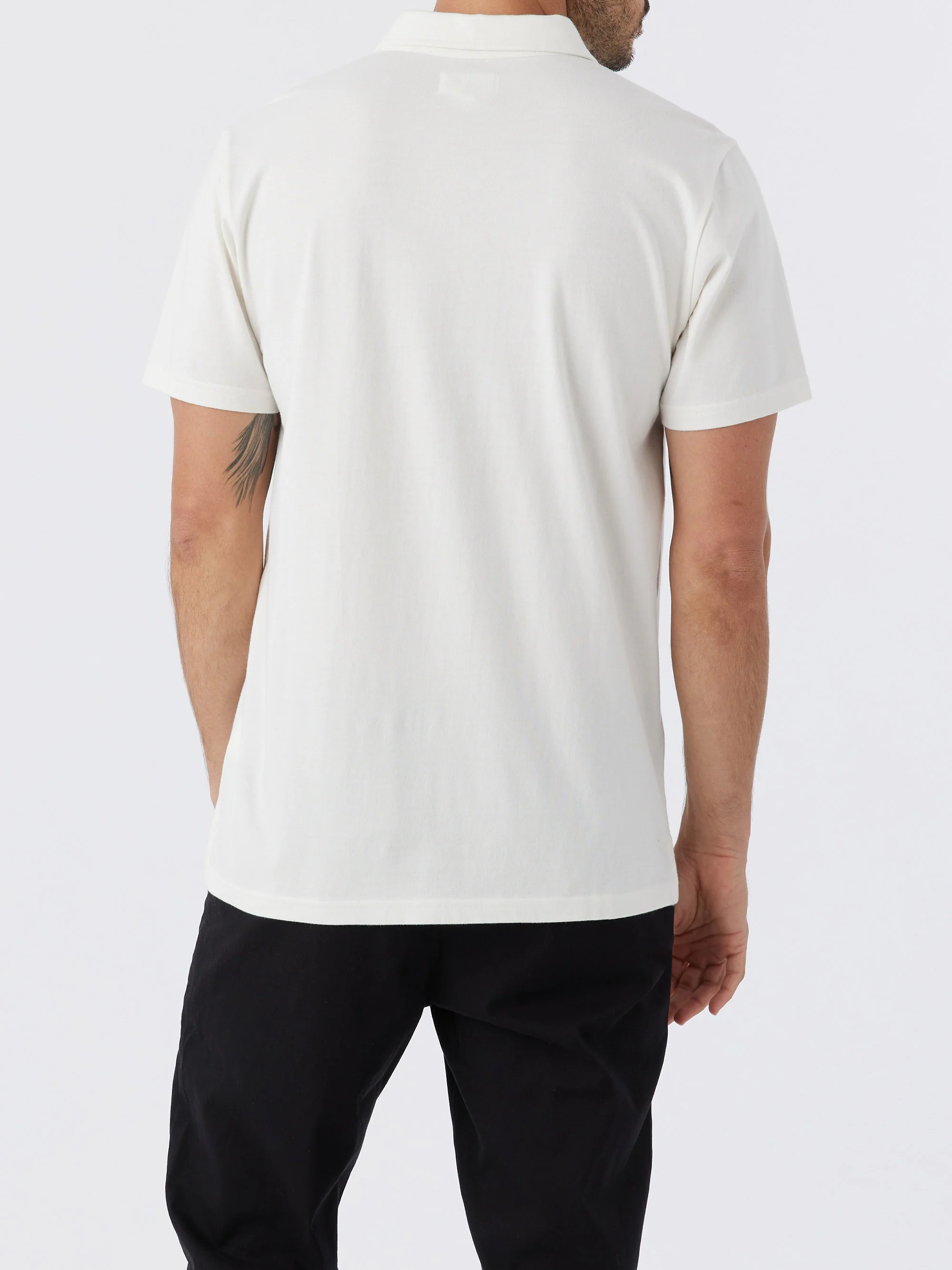 Mark Polo - Image 5